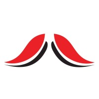 Media Solutions Group logo - Similar company to Digital Geeks Namibia