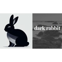 dark rabbit Consulting logo - Similar company to Kavya Pharma