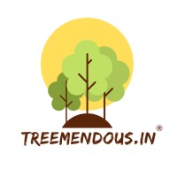 Treemendous logo - Similar company to Whitoe
