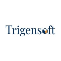 Trigensoft  INC logo - Similar company to Cnc Web World Technologies Pvt Ltd