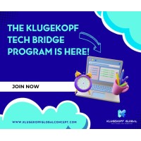 Klugekopf Techbridge logo - Similar company to Dforce Network
