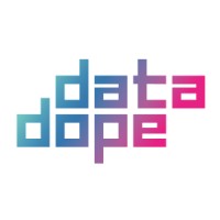 Datadope logo - Similar company to Codeals