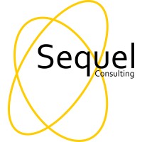 Sequel Consulting logo - Similar company to Soundtect Ltd