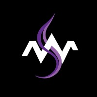 WebSoniX logo - Similar company to Chase Mobile®