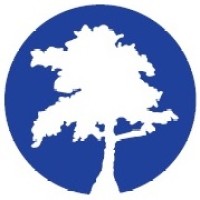 Blue Cypress Consulting, LLC logo - Similar company to 7 Sided Cube Llc