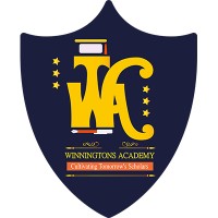 WinningTons Academy logo - Similar company to Antosa Technology