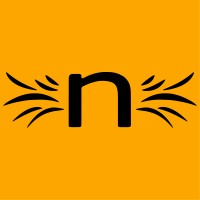 Nevice logo - Similar company to Décisyphe