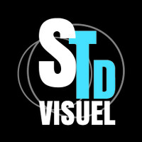 STD VISUEL logo - Similar company to Doers Agency