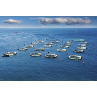 Seafood Türkiye logo - Similar company to Neta Seafood