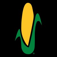 Wyffels Hybrids logo - Similar company to Stine Seed Company