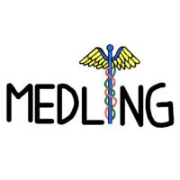 Medling logo - Similar company to Tech Haven Australia