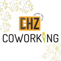 BHZ Coworking logo - Similar company to Bruce Academy