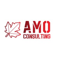 AMO Consulting logo - Similar company to Amoconsult