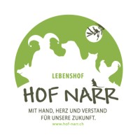 Verein Hof Narr logo - Similar company to Burn Or Learn