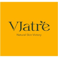 Vjatre Corp logo - Similar company to Modse