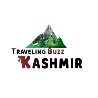 Traveling Buzz Kashmir logo - Similar company to The Identity Group