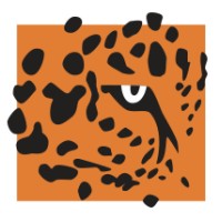 Jaguar Growth Partners logo - Similar company to Throughput.Ai