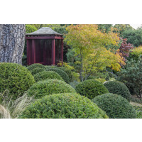 Murphy Sheanon logo - Similar company to Kavanagh Burke Consulting Engineers