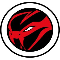Viper Security logo - Similar company to Overwatch Security Advisors