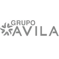Grupo Ávila logo - Similar company to Mekka Tech