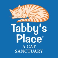 Tabby'S Place: A Cat Sanctuary