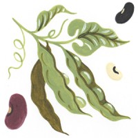 Spilling the Beans Storytelling logo - Similar company to Tradea Import & Export Inc.