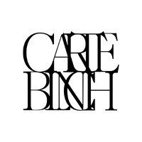 Carte Blanche Studio logo - Similar company to Catalyst Venture Studio