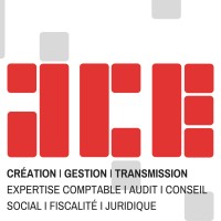 ACE Audit et Conseil des Entreprises logo - Similar company to Ace Orga