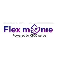 Flex Monie By Cico logo - Similar company to Gigabyte Developers Incorporated