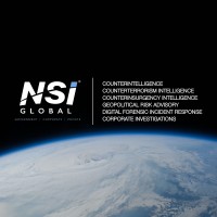 NSI Global logo - Similar company to Nsi Global