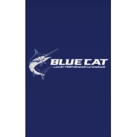 BlueCatUSA logo - Similar company to One Up Management