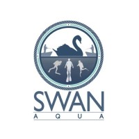 Swan Aqua