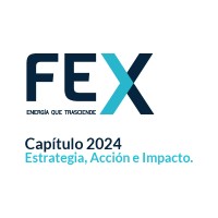 FEX logo - Similar company to Spe Espol Student Chapter