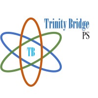 Trinity Bridge Professional Services logo - Similar company to Devnaut