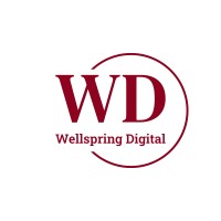 Wellspring Digitial GMBH logo - Similar company to Cognitive Information Solutions