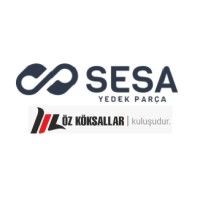 SESA KIRMA ELEME logo - Similar company to Sdm China