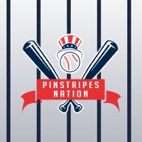 Pinstripes Nation logo - Similar company to Rivaaj Trading Private Limited