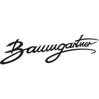 BVI Baumgartner Zrt logo - Similar company to General Transport Gmbh