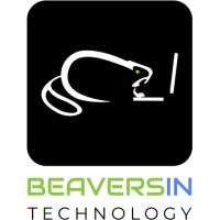 BEAVERSIN TECHNOLOGY logo - Similar company to Aireal