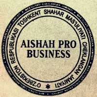 AISHAH PRO BUSINESS, LLC logo - Similar company to Zelal Company