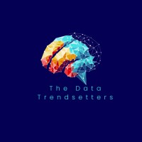 The Data Trendsetters logo - Similar company to Reditt Analytics