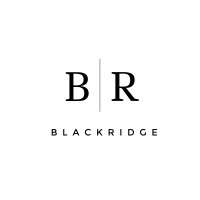 BlackRidge logo - Similar company to Sullivan Solutions Llc