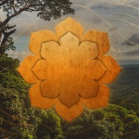 Selva Armonia Immersive Resort logo - Similar company to Cielo Lodge