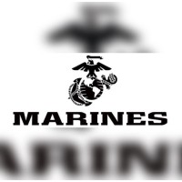 Marine Transportation LLC logo - Similar company to Mindin