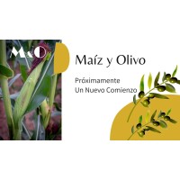 Maíz Y Olivo Restaurante