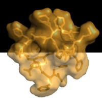 Trilo Therapeutics