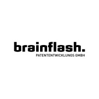 Brain Flash-Patententwicklungs GmbH logo - Similar company to Mountain Hideaways