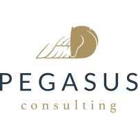 Pegasus Consulting SA logo - Similar company to Pegasus Consulting, Llc