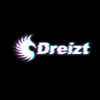 Dreizt Gamer logo - Similar company to Suntime Store