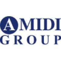 Amidi Group logo - Similar company to Persian Tech Network